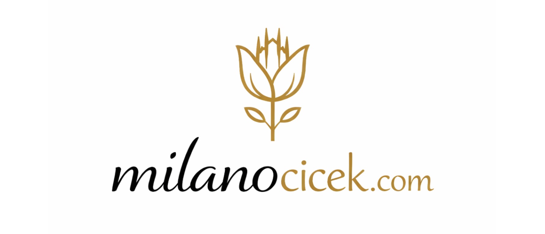 Uşak Milano Çiçek