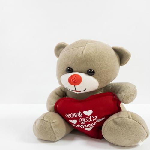 Mesajlı Romantik Peluş Dostu